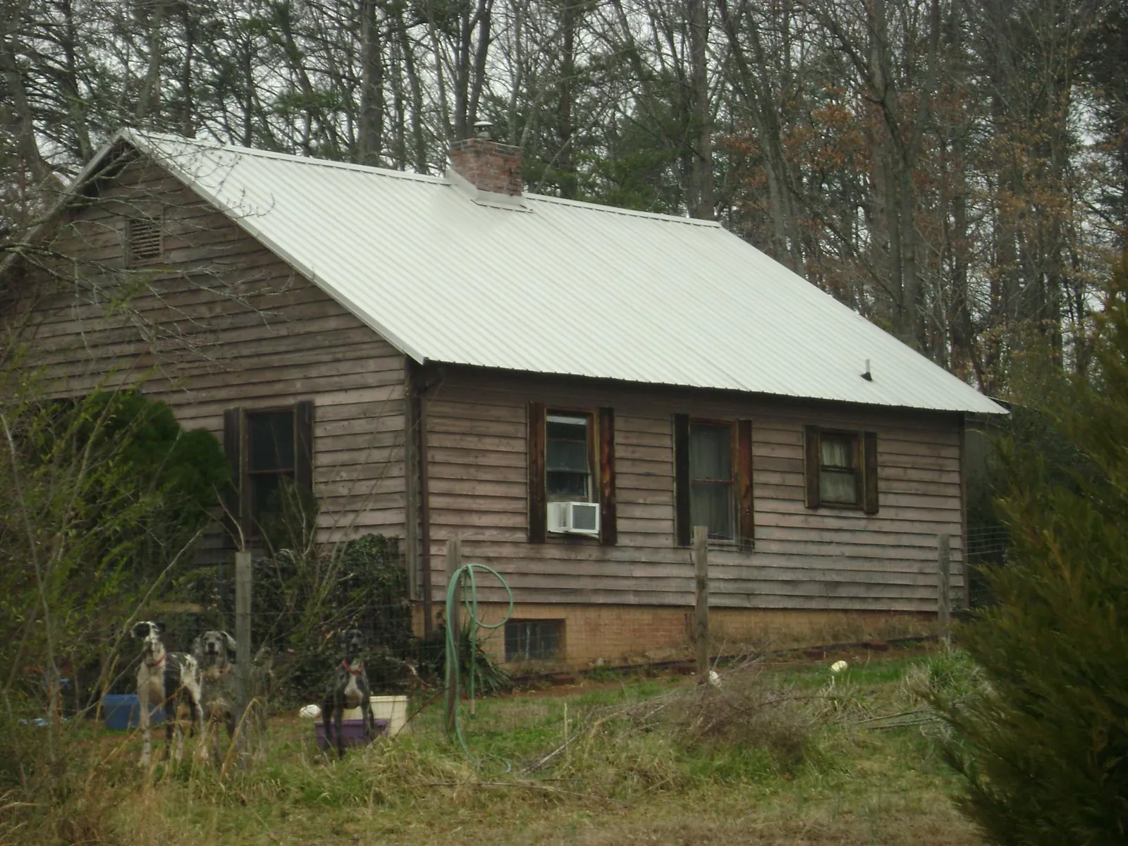 White metal roof on an old wood sided farmhouse, from a Metal Roof Installation job in Currie